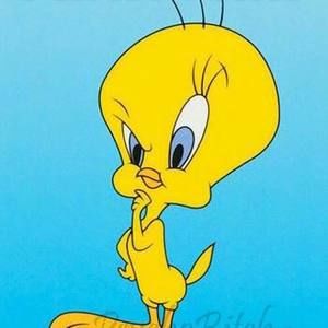 Meet your Posher, Marjorie